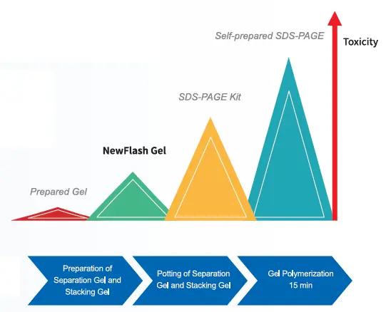 BioSci™ Protein Gel Kit 2.webp